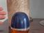 Immagine 2