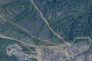 Terreno Monte Pisano