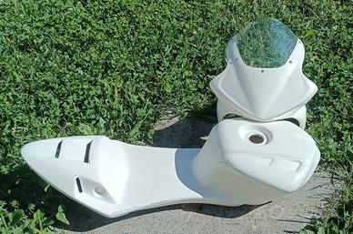 SEMI CARENE IN VTR PER MINIMOTO DM