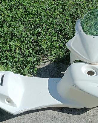 SEMI CARENE IN VTR PER MINIMOTO DM