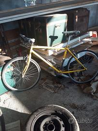 MTB / CITY BIKE