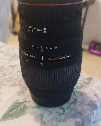 obiettivo Sigma 70 300 per minolta af e sony a 