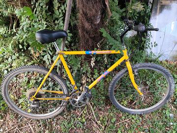 Specialized MTB anni 80 