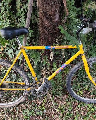 Specialized MTB anni 80 