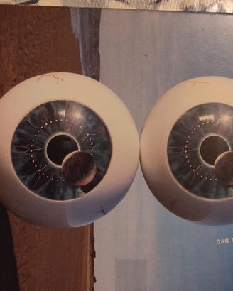 Pink Floyd pulse