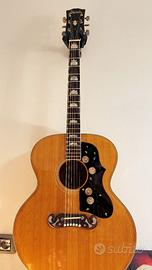 Ibanez Concord 58098/698 Japan 1971 Vintage + Case