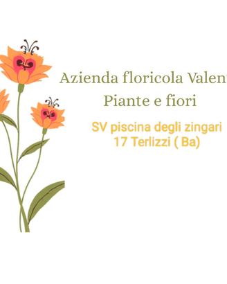  Piante e fiori all'ingrosso.