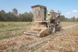 mietitrebbia fagioli