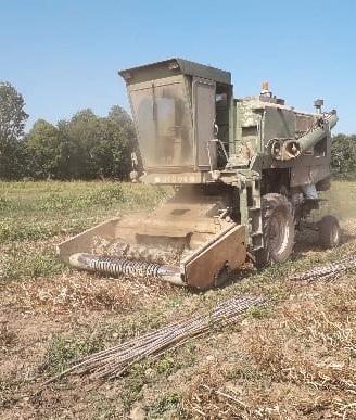 mietitrebbia fagioli