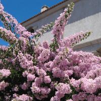 Castelsardo incantevole panorama bilocale