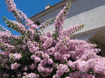 Castelsardo incantevole panorama bilocale