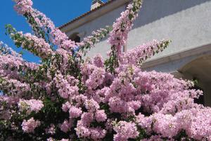 Castelsardo incantevole panorama bilocale