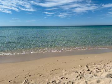 Estate San Pietro in Bevagna centro a 150m mare