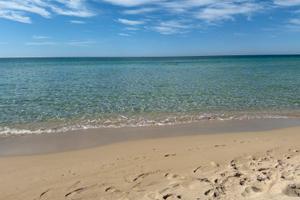 Estate San Pietro in Bevagna centro a 150m mare