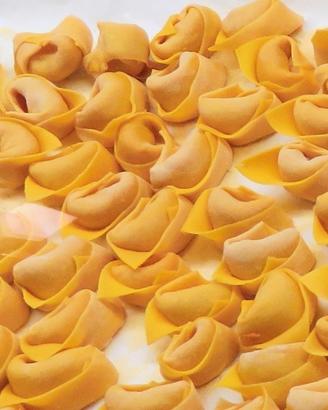 Attività pastificio bel avviato