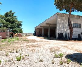 Pisana - capannone industriale