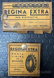 Regina Extra catena e ruota libera 1 velocità