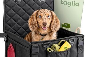 seggiolino auto per cane