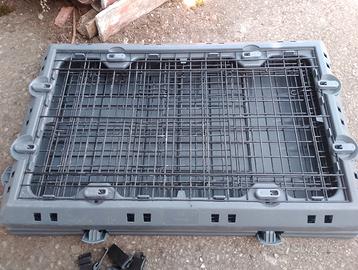 Kennel