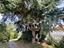 Immagine 18
