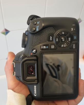 Canon EOS 2000D + EF 50 mm f/1.8 STM 