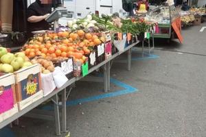 Posteggio area mercato Arenzano