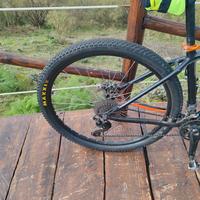 Mtb Canyon Gran All