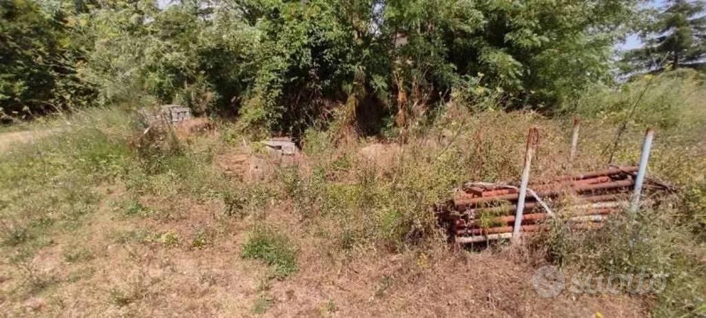 Immobile in asta di 76942 m² a Siena - Vista 3