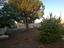 Immagine 28
