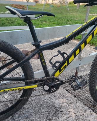 Scott scale 24"