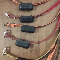 palmare Garmin con 6 collari