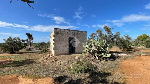 TER. AGRICOLO A TAVIANO