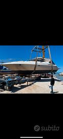Cranchi endurance 39