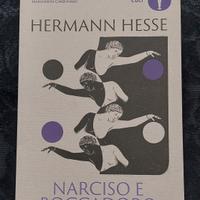 libro Narciso e boccadoro di Hermann Hesse
