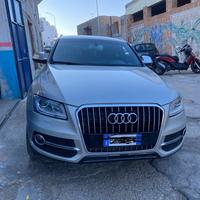Griglia audi Q5