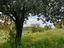 Immagine 15