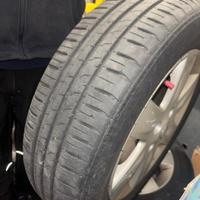 gomme estive