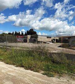 Capannone Commerciale - Elmas