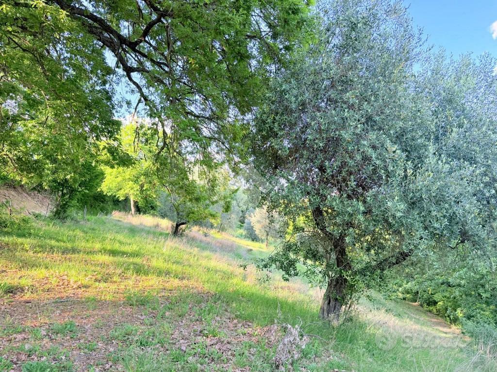 TER. AGRICOLO A TORRI IN SABINA - Altro