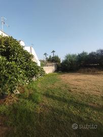 Terreno edificabile