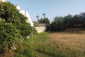 Terreno edificabile