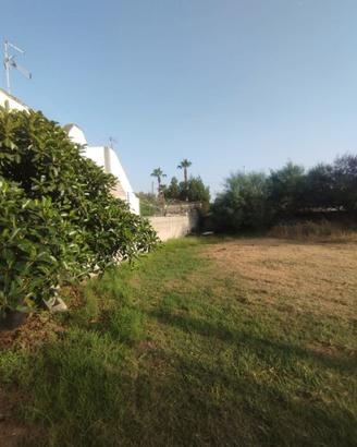 Terreno edificabile