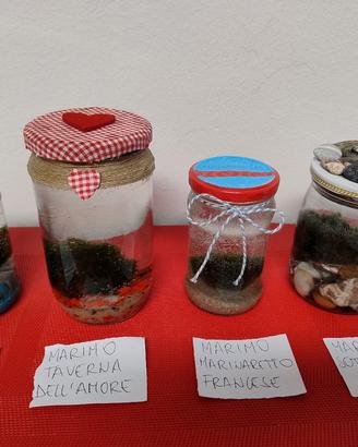 Confezione alga Marino 