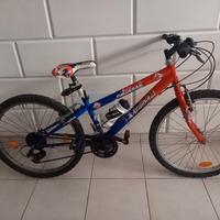 Bicicletta bambino taglia 24" marca Regina