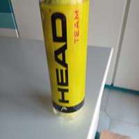 Tubo di palle da tennis per adultiHEAD