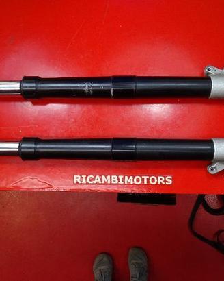 FORCELLE PERNO BMW R1200S