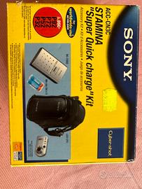 Sony Quick Charge