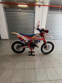 Beta rr 50 racing  2019