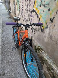 olmo sentiero 26
