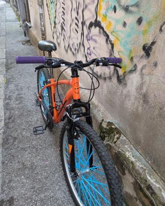 olmo sentiero 26